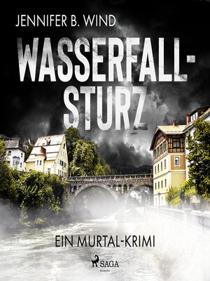 cover image of Wasserfallsturz